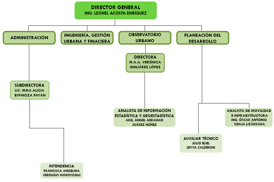 organigrama-imip-2024